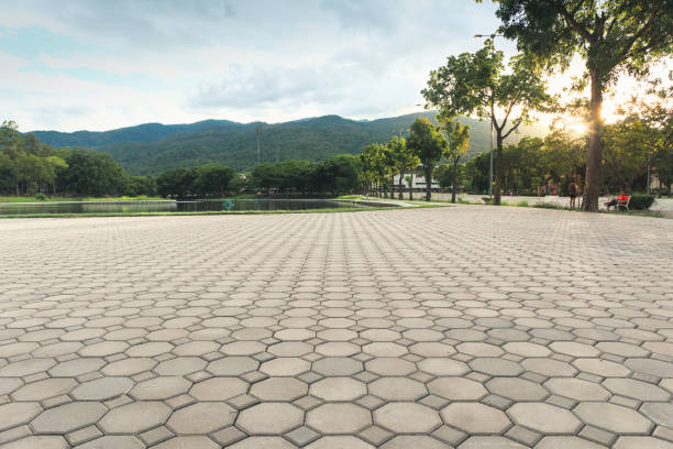 Best Driveway Pavers Near Me  in Kings Grant, NC